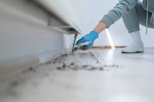 Pest Control Cost in Panama City, FL